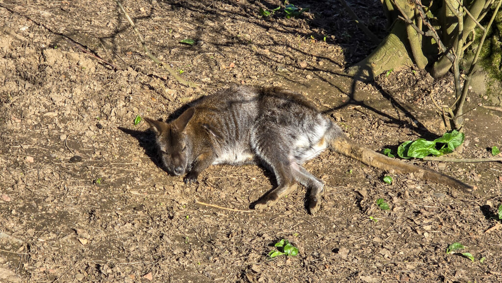 Br&uuml;ckenkopfpark J&uuml;lich