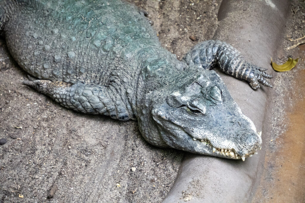 Aquazoo L&ouml;bbecke Museum D&uuml;sseldorf