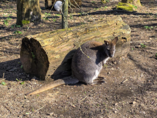 Br&uuml;ckenkopfpark J&uuml;lich