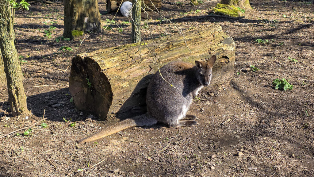 Br&uuml;ckenkopfpark J&uuml;lich