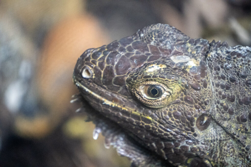 Aquazoo L&ouml;bbecke Museum D&uuml;sseldorf