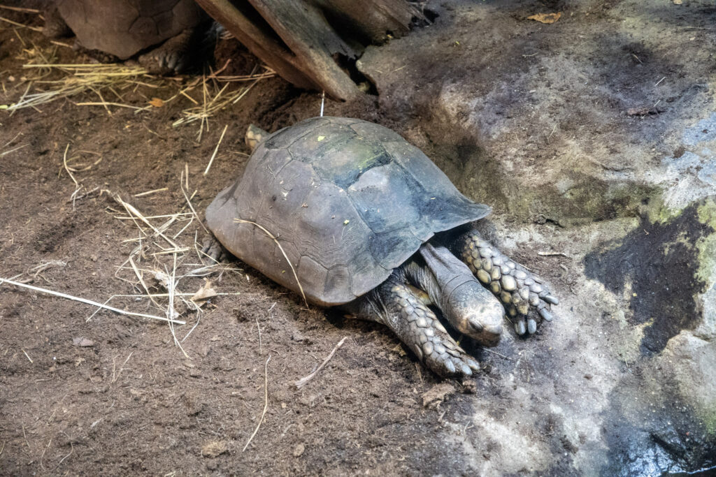 Aquazoo L&ouml;bbecke Museum D&uuml;sseldorf