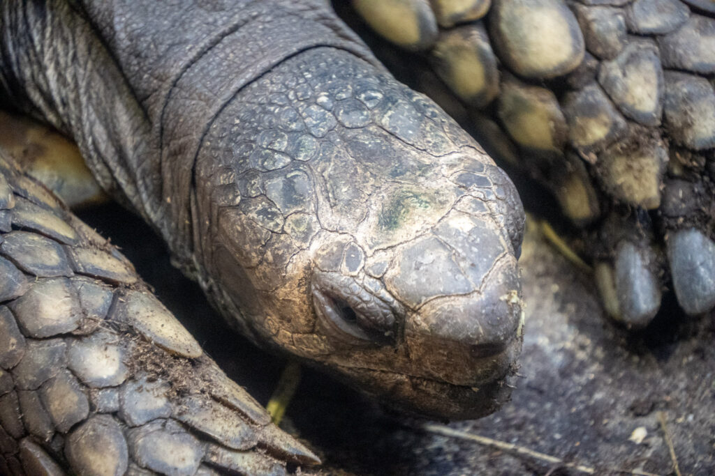 Aquazoo L&ouml;bbecke Museum D&uuml;sseldorf
