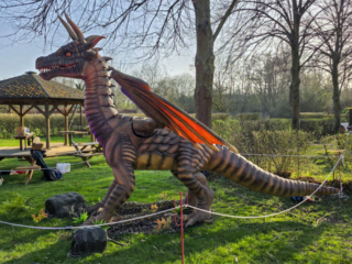 Drachenlichter im Br&uuml;ckenkopfpark J&uuml;lich