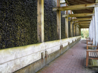 Grugapark Essen