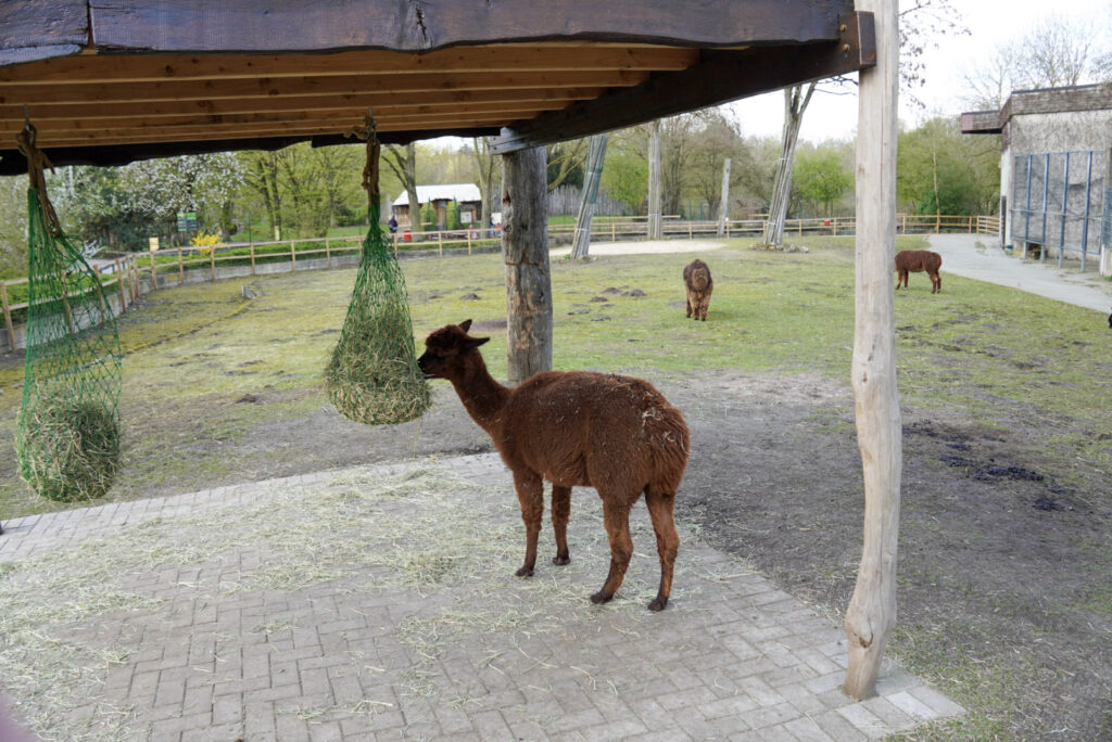 Alwetterzoo Münster Alwetterzoo Münster