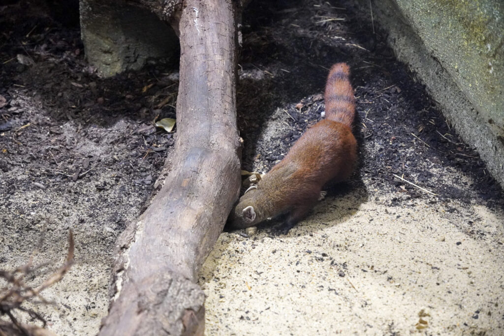 Alwetterzoo Münster Alwetterzoo Münster