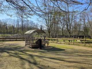 Br&uuml;ckenkopfpark J&uuml;lich