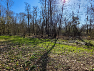 Br&uuml;ckenkopfpark J&uuml;lich