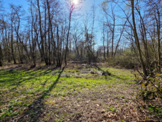 Br&uuml;ckenkopfpark J&uuml;lich