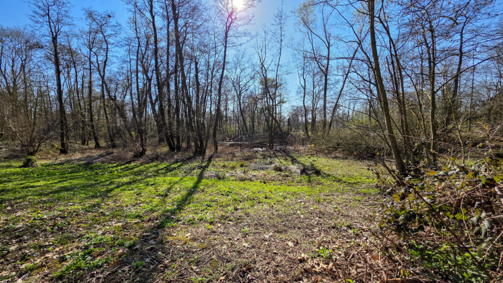 Br&uuml;ckenkopfpark J&uuml;lich