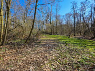 Br&uuml;ckenkopfpark J&uuml;lich