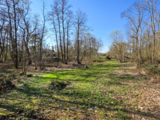 Br&uuml;ckenkopfpark J&uuml;lich