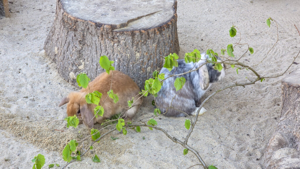 Br&uuml;ckenkopfpark J&uuml;lich