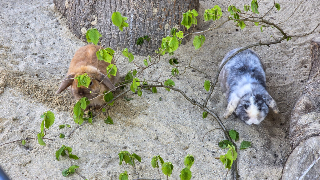 Br&uuml;ckenkopfpark J&uuml;lich