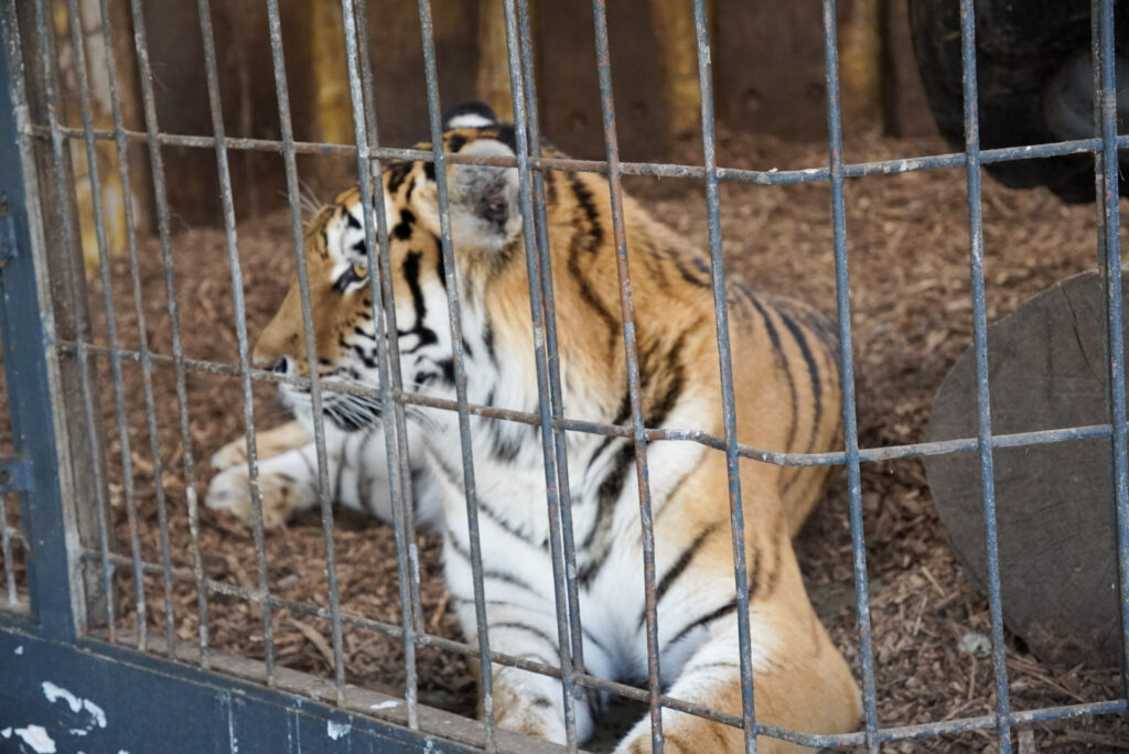 Alwetterzoo Münster Alwetterzoo Münster