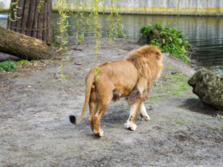Alwetterzoo Münster Alwetterzoo Münster