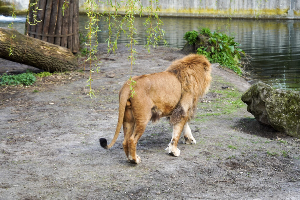 Alwetterzoo Münster Alwetterzoo Münster