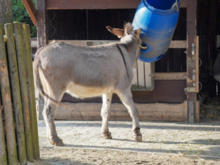 Alwetterzoo Münster Alwetterzoo Münster