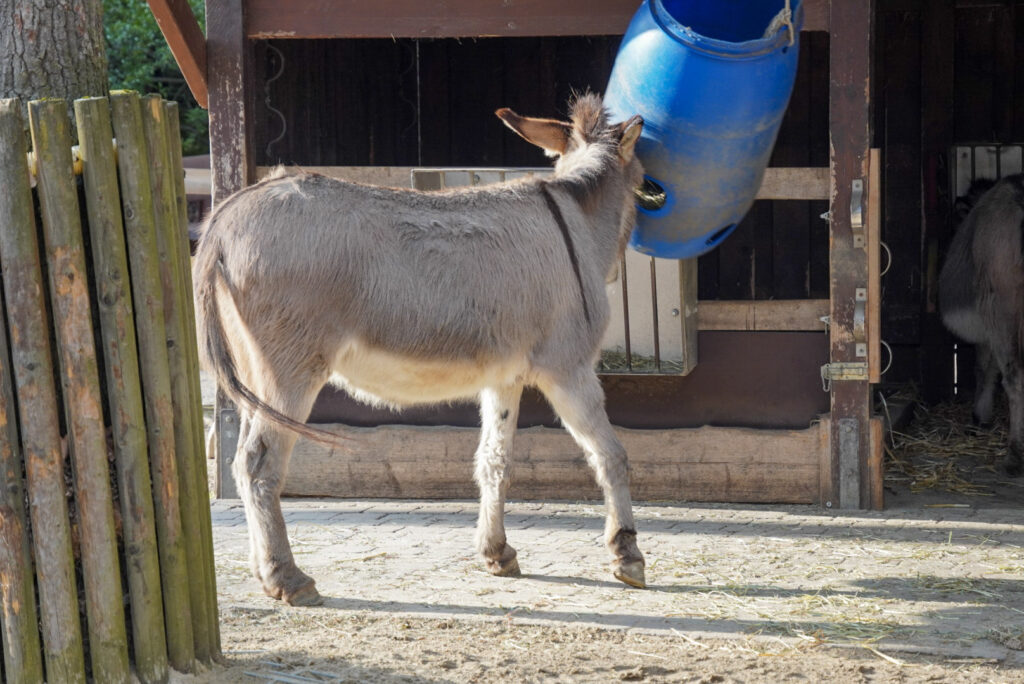 Alwetterzoo Münster Alwetterzoo Münster