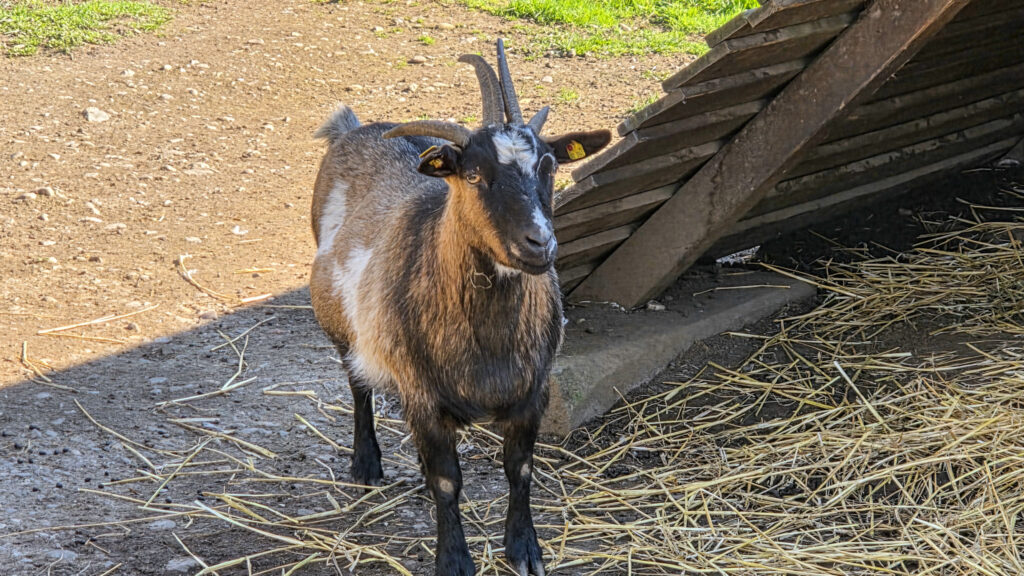 Br&uuml;ckenkopfpark J&uuml;lich