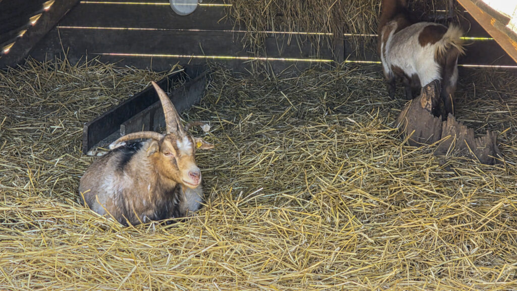 Br&uuml;ckenkopfpark J&uuml;lich