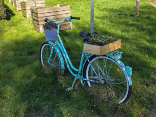 Br&uuml;ckenkopfpark J&uuml;lich