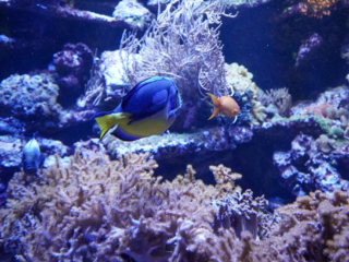 Alwetterzoo Münster Alwetterzoo Münster