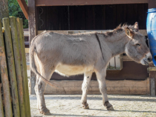 Alwetterzoo Münster Alwetterzoo Münster