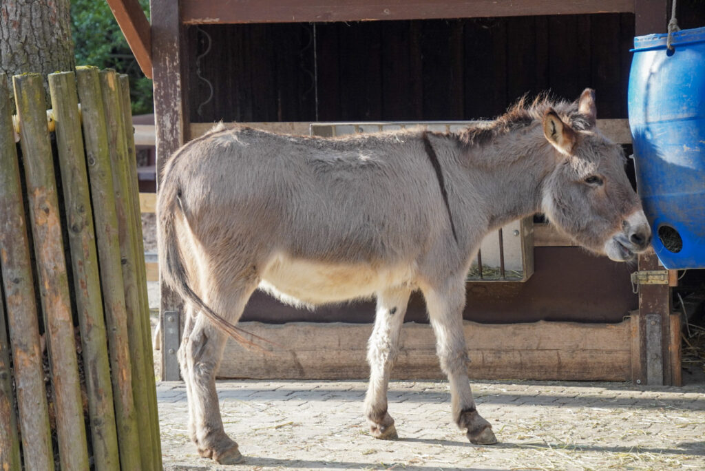 Alwetterzoo Münster Alwetterzoo Münster
