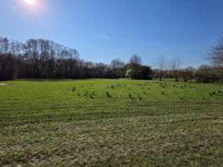 Br&uuml;ckenkopfpark J&uuml;lich