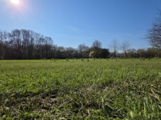 Br&uuml;ckenkopfpark J&uuml;lich