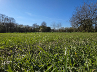 Br&uuml;ckenkopfpark J&uuml;lich