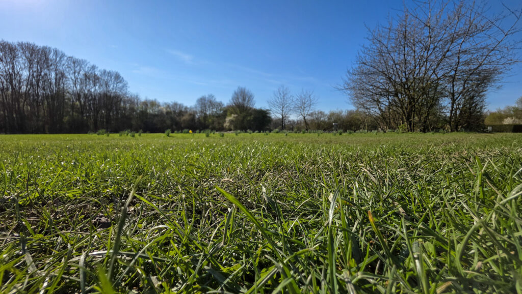 Br&uuml;ckenkopfpark J&uuml;lich