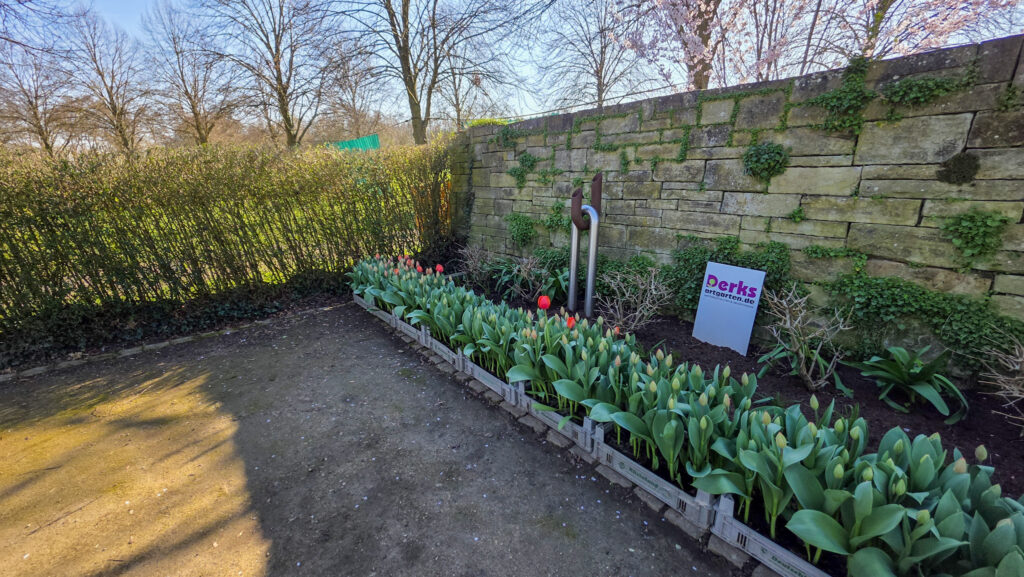 Br&uuml;ckenkopfpark J&uuml;lich