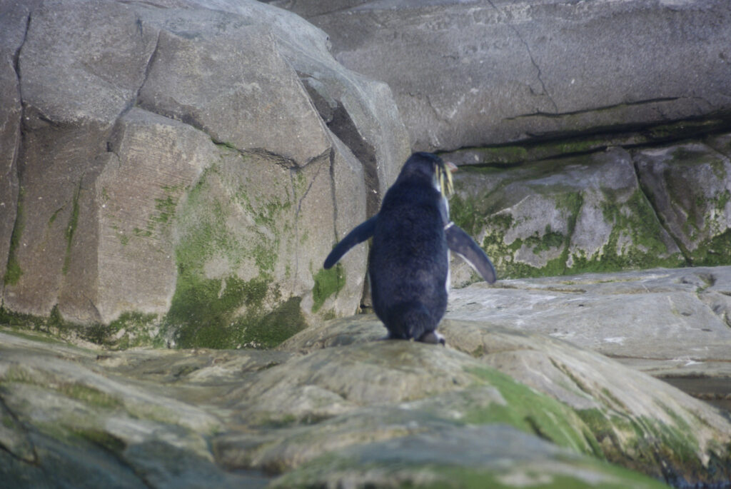 Berliner Zoo