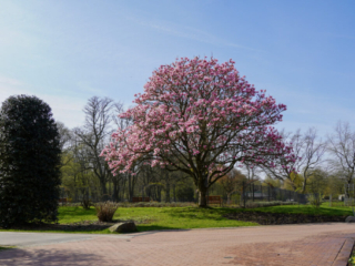 Grugapark Essen