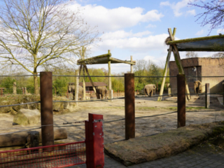 Alwetterzoo Münster Alwetterzoo Münster