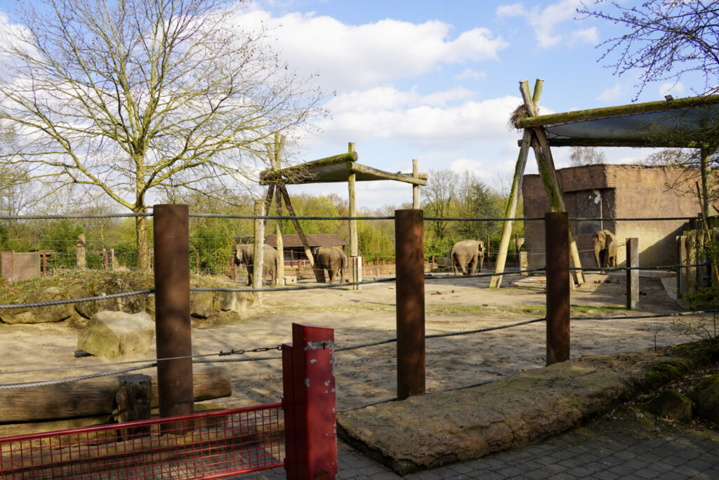 Alwetterzoo Münster Alwetterzoo Münster