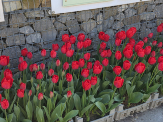 Br&uuml;ckenkopfpark J&uuml;lich