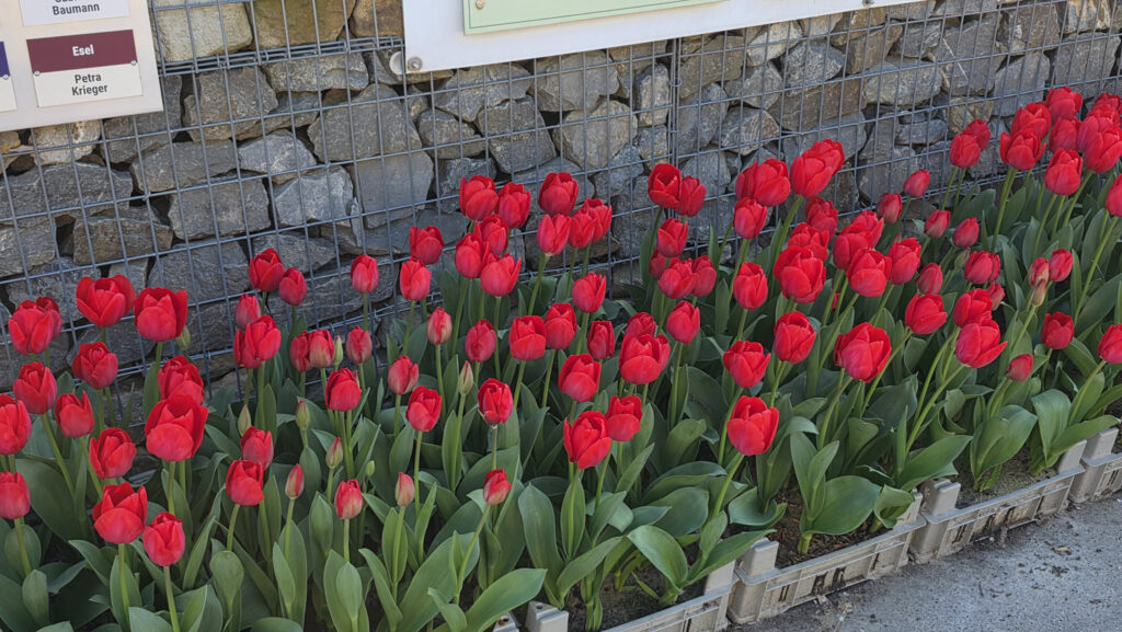Br&uuml;ckenkopfpark J&uuml;lich