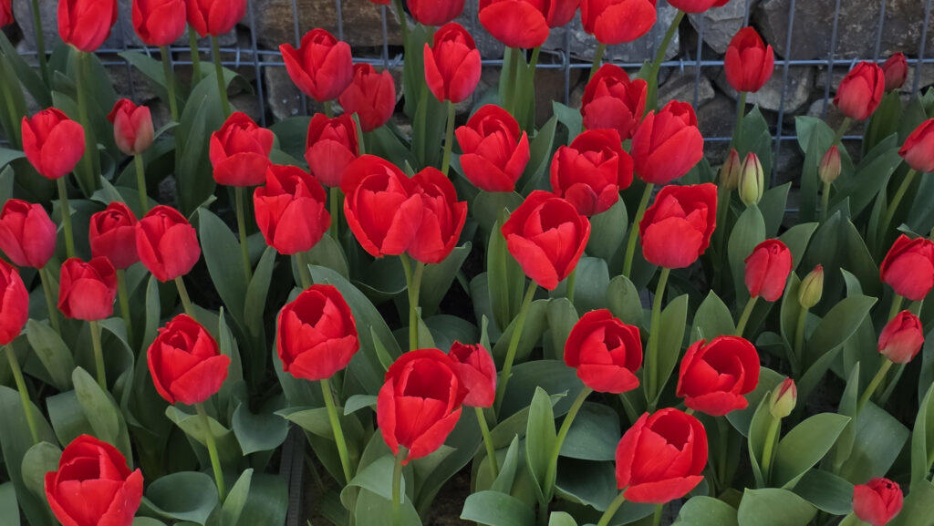 Br&uuml;ckenkopfpark J&uuml;lich