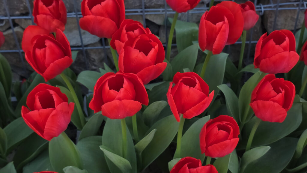 Br&uuml;ckenkopfpark J&uuml;lich