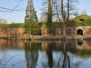 Drachenlichter im Br&uuml;ckenkopfpark J&uuml;lich