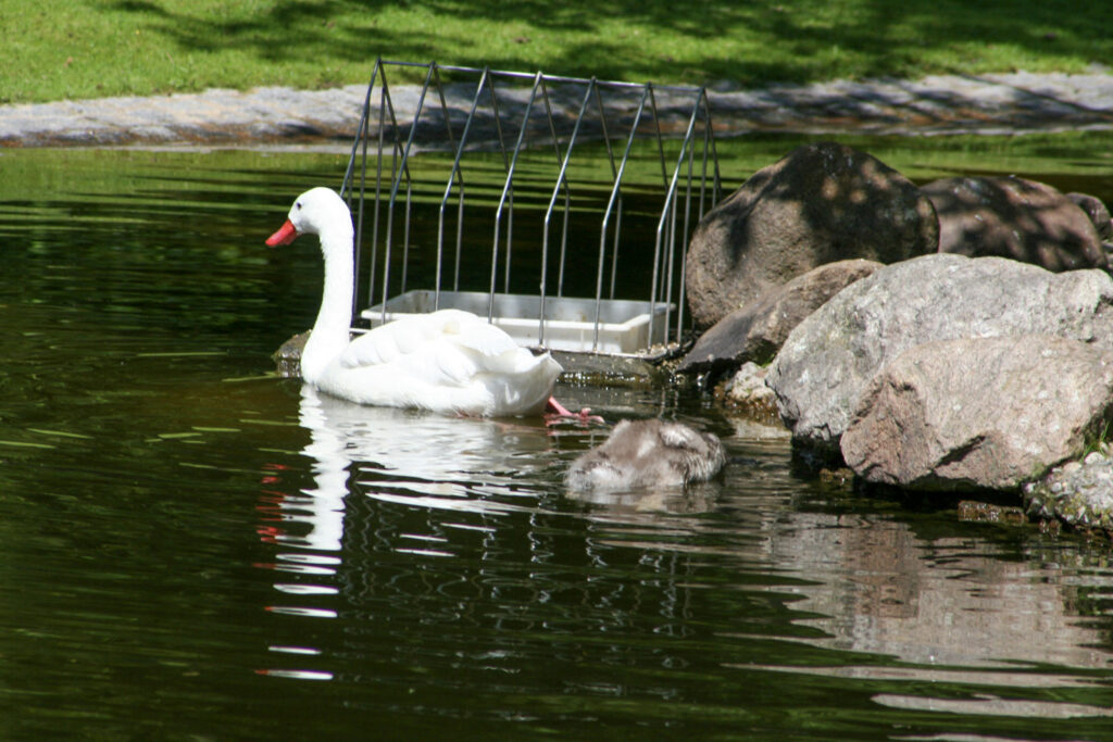 Berliner Zoo