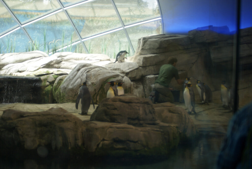 Berliner Zoo