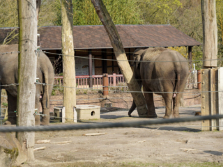 Alwetterzoo Münster Alwetterzoo Münster
