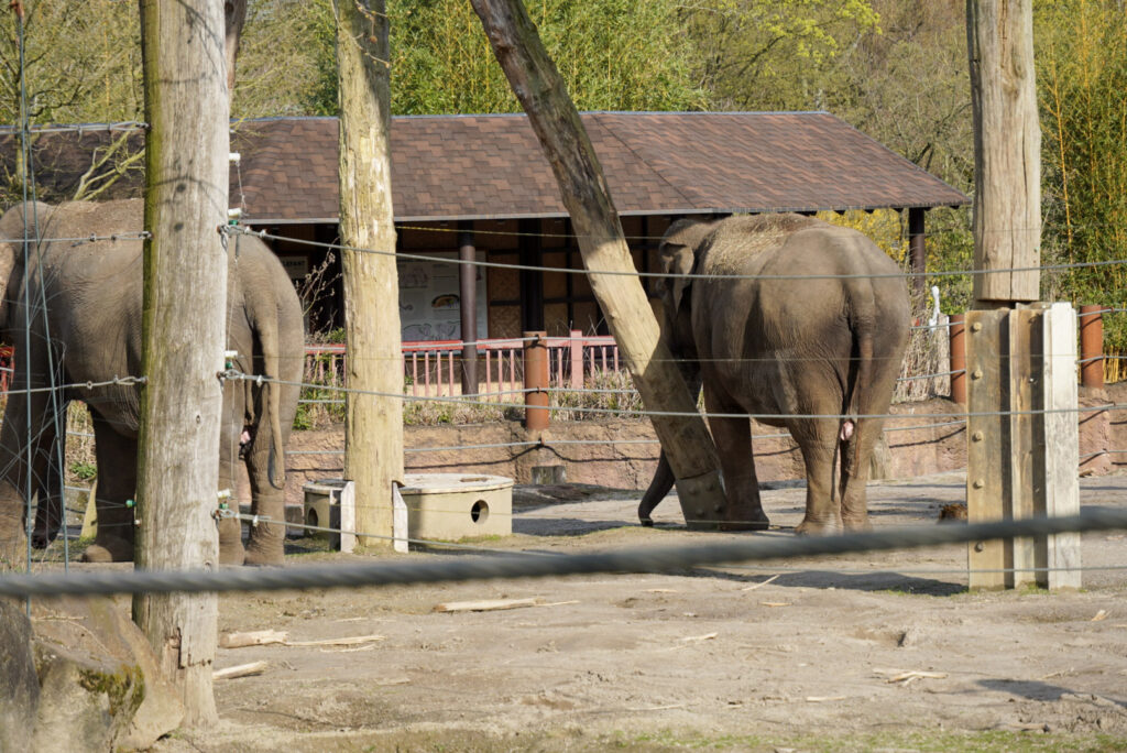 Alwetterzoo Münster Alwetterzoo Münster
