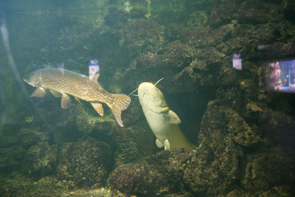 Berliner Zoo