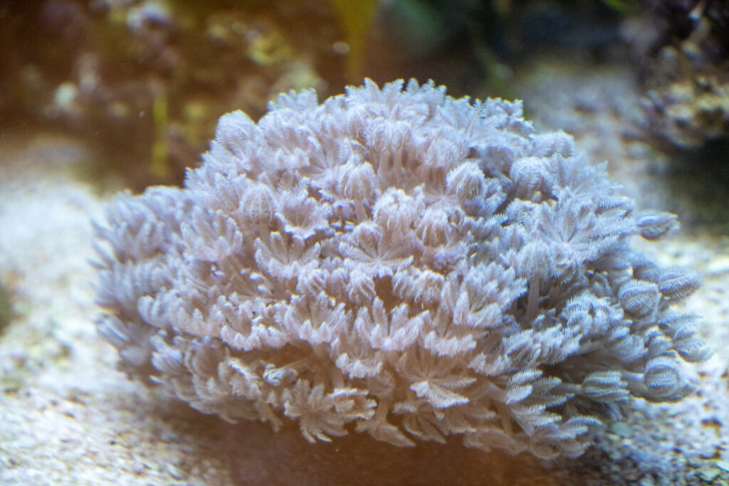 Aquazoo L&ouml;bbecke Museum D&uuml;sseldorf